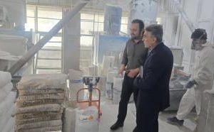 برنامه های حمایتی بانک توسعه صادرات ایران برای صنایع صادراتی استان اردبیل