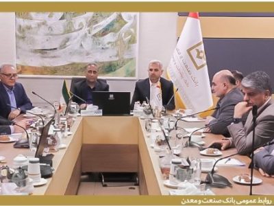 دکتر شایان: مدل کسب و کار بانک صنعت و معدن تغییر می کند