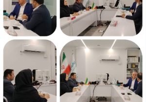 معاون فنی بیمه دی: برای استمرار موفقیت شعبه ایثار تلاش ها مضاعف شود