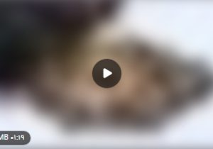 پیوندی فراتر از اعداد و ارقام